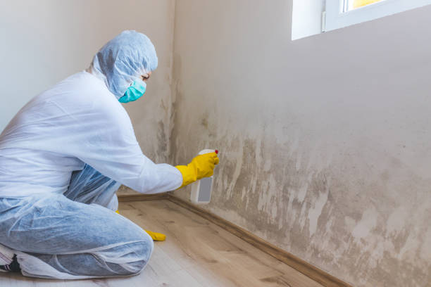 Mold inspector in Duluth performing thermal imaging